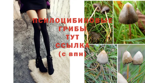 МДПВ Коряжма