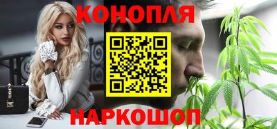 тгк Гай