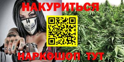 тгк Гай