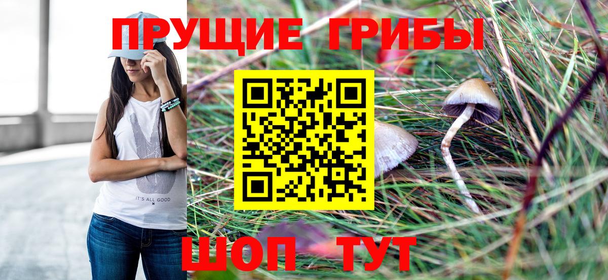 Галлюциногенные грибы Cubensis  купить   Иваново 