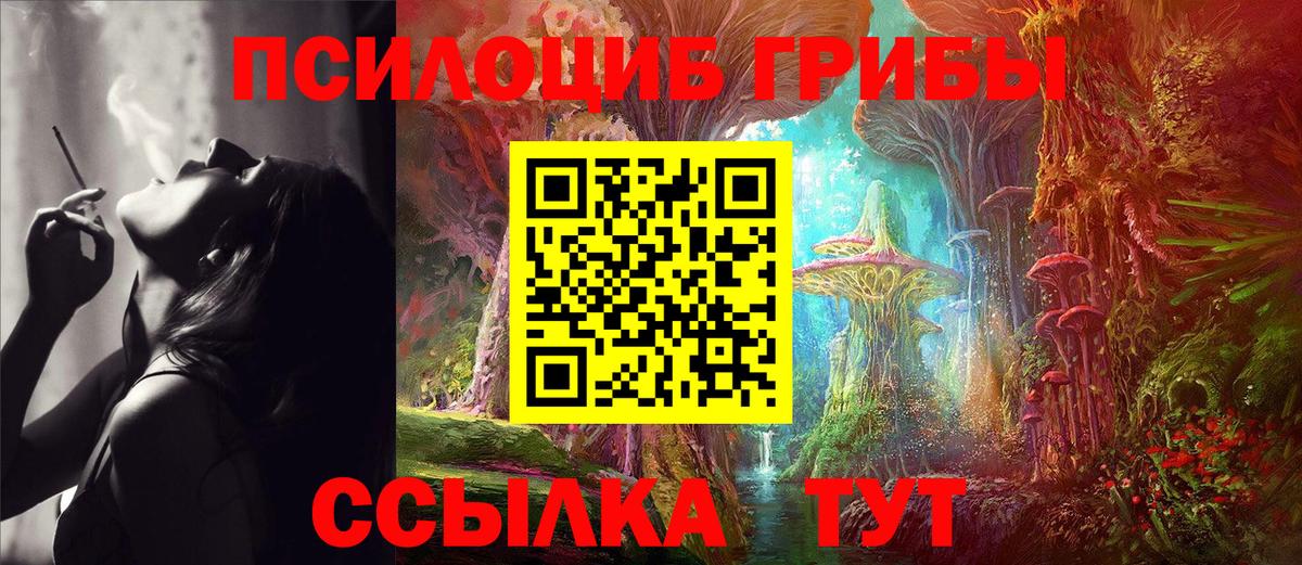 Псилоцибиновые грибы прущие грибы Иваново