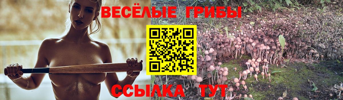 Иваново  Псилоцибиновые грибы Psilocybine cubensis  Вход с VPN 